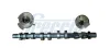 Nockenwelle Einlassseite FRECCIA CM05-2419