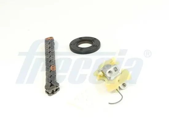 Steuerkettensatz FRECCIA TK08-1171 Bild Steuerkettensatz FRECCIA TK08-1171