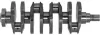 Kurbelwelle IPSA CK000600