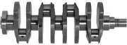 Kurbelwelle IPSA CK000600