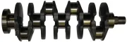 Kurbelwelle IPSA CK000700