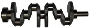 Kurbelwelle IPSA CK001600