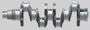 Kurbelwelle IPSA CK002100