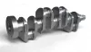 Kurbelwelle IPSA CK002400