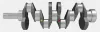 Kurbelwelle IPSA CK003100