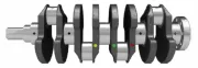 Kurbelwelle IPSA CK004301