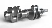 Kurbelwelle IPSA CK006300
