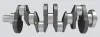 Kurbelwelle IPSA CK014600