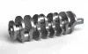 Kurbelwelle IPSA CK013200