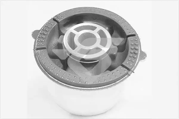 Lagerung, Achskörper Hinterachse rechts Hinterachse links HUTCHINSON 531A02