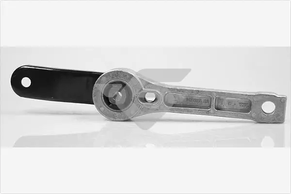 Halter, Motoraufhängung links unten vorne HUTCHINSON 594390