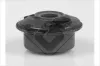 Lagerung, Stabilisator HUTCHINSON 599017
