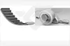 Zahnriemensatz HUTCHINSON KH 61