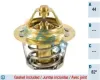 Thermostat, Kühlmittel FAE 5204182