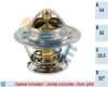Thermostat, Kühlmittel FAE 5302492