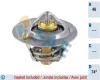 Thermostat, K&uuml;hlmittel FAE 5323274