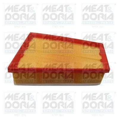 Luftfilter MEAT & DORIA 18572 Bild Luftfilter MEAT & DORIA 18572