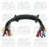 Reparatursatz, Kabelsatz Fahrzeugheckklappe MEAT & DORIA 25305