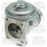 AGR-Ventil MEAT & DORIA 88194