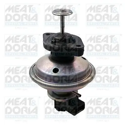 AGR-Ventil MEAT & DORIA 88195
