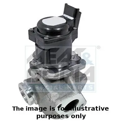 AGR-Ventil MEAT & DORIA 88219E