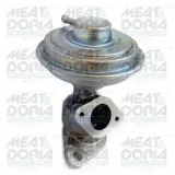 AGR-Ventil MEAT & DORIA 88313