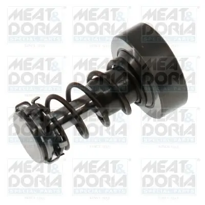 Reparatursatz, Common-Rail-System MEAT & DORIA 98636