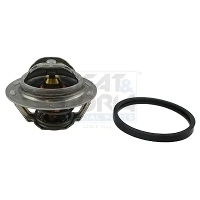 Thermostat, Kühlmittel MEAT & DORIA 92222