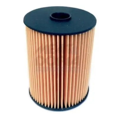 Kraftstofffilter MEAT & DORIA 4831 Bild Kraftstofffilter MEAT & DORIA 4831