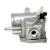 Thermostat, K&uuml;hlmittel MEAT & DORIA 92590