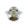 Thermostat, K&uuml;hlmittel MEAT & DORIA 92444