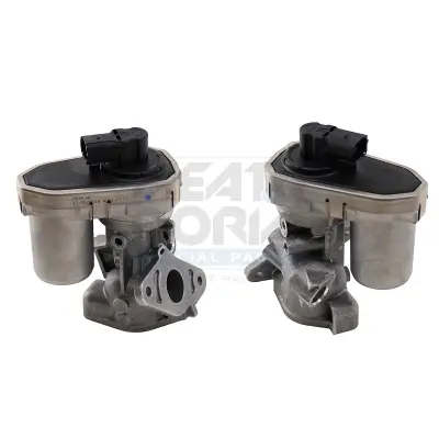 AGR-Ventil MEAT & DORIA 88137