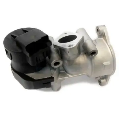 AGR-Ventil MEAT & DORIA 88303R