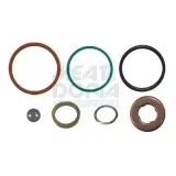 Reparatursatz, Pumpe-Düse-Einheit MEAT & DORIA 9581