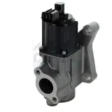 AGR-Ventil MEAT & DORIA 88498