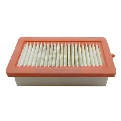 Luftfilter MEAT & DORIA 18667 Bild Luftfilter MEAT & DORIA 18667