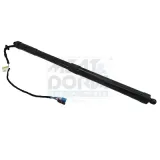 Gasfeder, Einlegeboden (Koffer-/Laderaum) Kofferraum MEAT & DORIA 301001