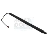 Gasfeder, Einlegeboden (Koffer-/Laderaum) Kofferraum MEAT & DORIA 301002