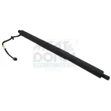 Gasfeder, Einlegeboden (Koffer-/Laderaum) Kofferraum MEAT & DORIA 301004