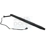 Gasfeder, Einlegeboden (Koffer-/Laderaum) Kofferraum hinten links MEAT & DORIA 301005