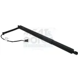 Gasfeder, Einlegeboden (Koffer-/Laderaum) hinten hinten links MEAT & DORIA 301011