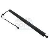 Gasfeder, Einlegeboden (Koffer-/Laderaum) Kofferraum hinten links MEAT & DORIA 301023