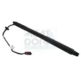 Gasfeder, Einlegeboden (Koffer-/Laderaum) Kofferraum hinten links MEAT & DORIA 301030