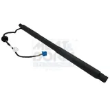 Gasfeder, Einlegeboden (Koffer-/Laderaum) Kofferraum hinten rechts MEAT & DORIA 301037