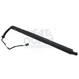 Gasfeder, Einlegeboden (Koffer-/Laderaum) Kofferraum hinten rechts MEAT & DORIA 301038