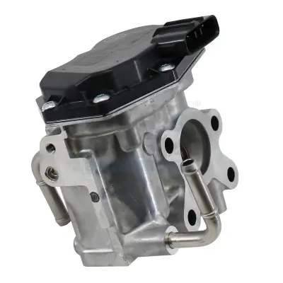 AGR-Ventil MEAT & DORIA 88902