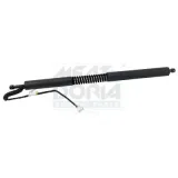 Gasfeder, Einlegeboden (Koffer-/Laderaum) hinten rechts MEAT & DORIA 301077