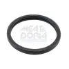 Dichtung, Thermostat MEAT & DORIA 016105