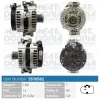 Generator 14 V MEAT & DORIA 5510582