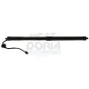 Gasfeder, Einlegeboden (Koffer-/Laderaum) hinten rechts hinten links MEAT & DORIA 301115